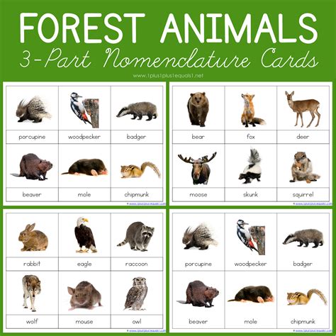 Forest Animal Printables